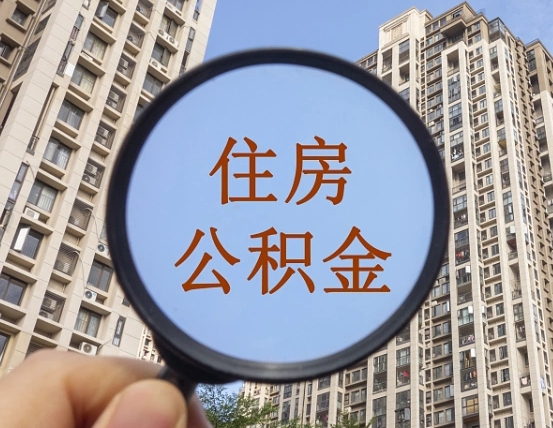 洛阳被单位开除多久可以取公积金（被开除后多久能取公积金）